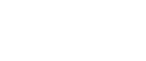 Willy's Mexicana Grill logo | Enormous Elephant